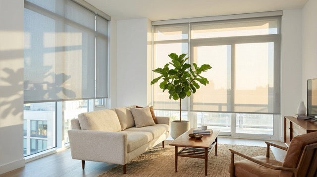 Best Window Treatments for Rental Homes