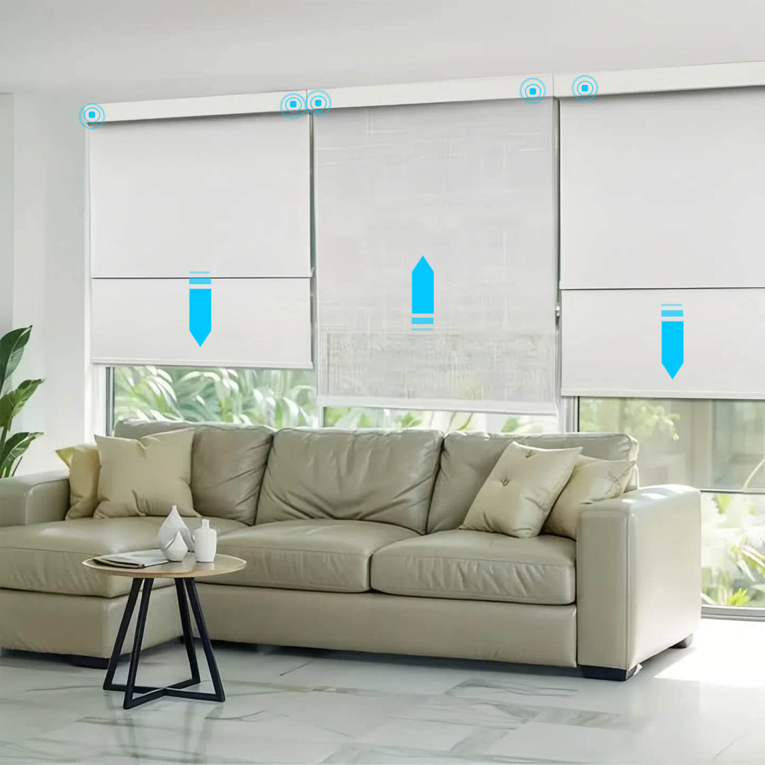 Motorized Dual Shades
