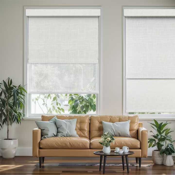 SmartView Motorized Dual Shades
