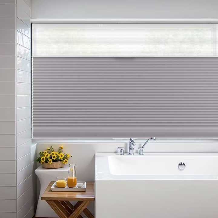SmartView Blackout And Light Filtering Day/Night Cellular Shades Allure