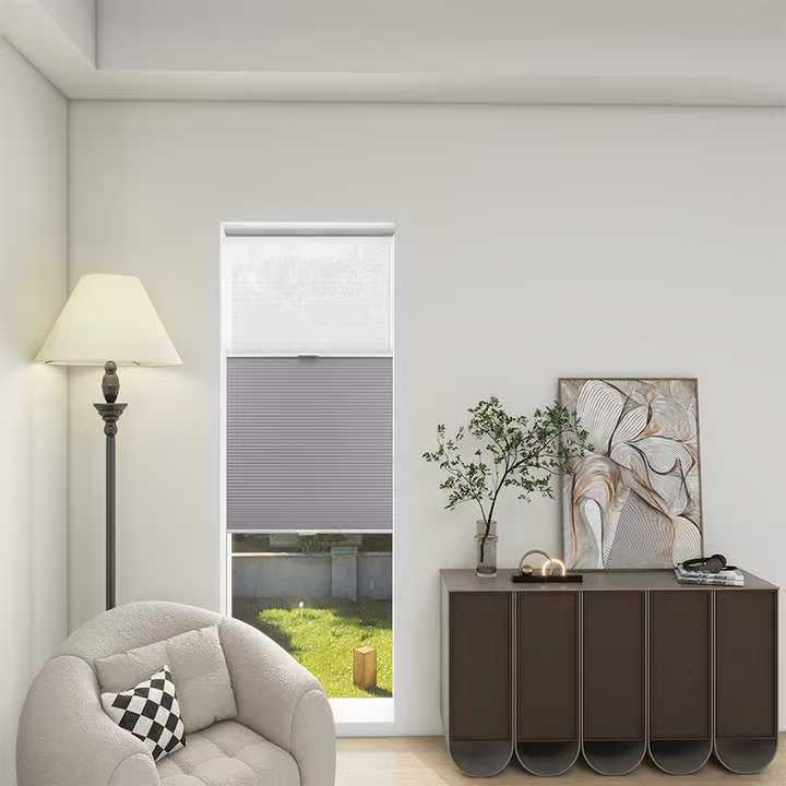 SmartView Blackout And Light Filtering Day/Night Cellular Shades Allure