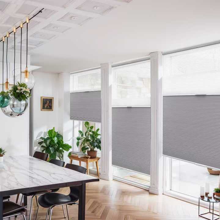 SmartView Blackout And Light Filtering Day/Night Cellular Shades Allure