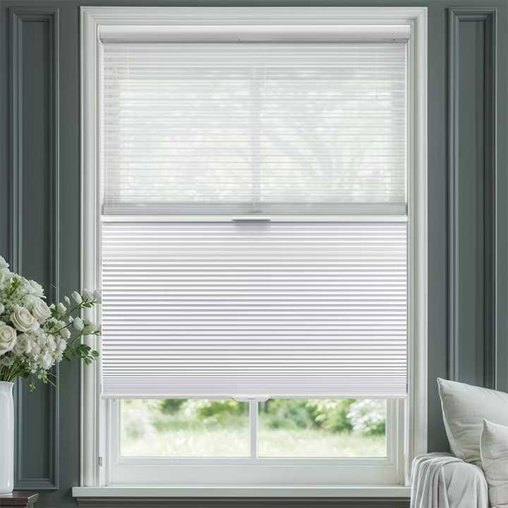 SmartView Blackout And Light Filtering Day/Night Cellular Shades Allure