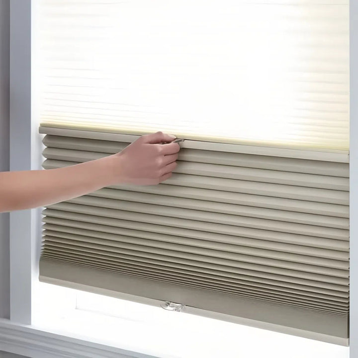 Motorized Blackout And Light Filtering Day/Night Cellular Shades Nowa SmartView