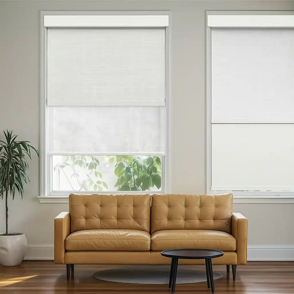 SmartView Motorized Dual Shades